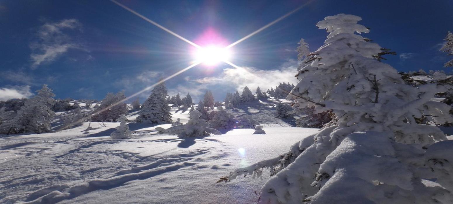 Ski-In, Ski-Out By Apartment Managers Kirchberg in Tirol Zewnętrze zdjęcie